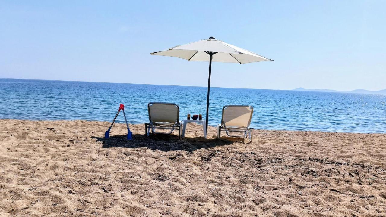 Xd Al Mare Villa Ierissós Buitenkant foto